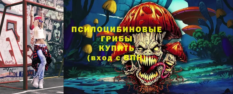 blacksprut ONION  Новоалтайск  Галлюциногенные грибы Magic Shrooms 